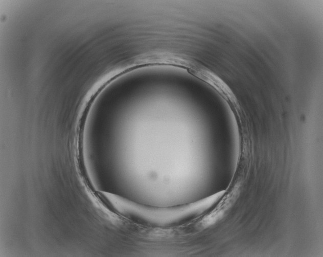 X0000085001144200703051214