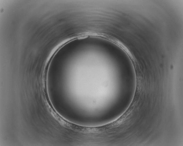 X0000085001148200703051214