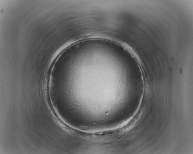 X0000085001149200703051214