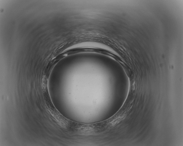 X0000085001156200703051214