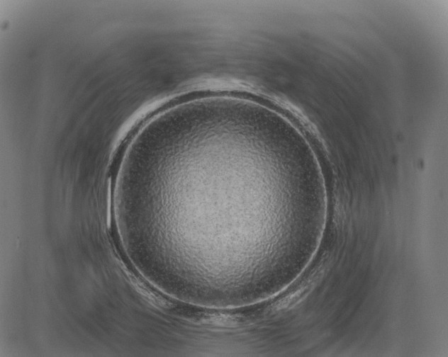 X0000085001175200703051213
