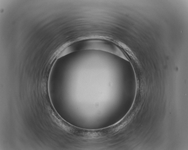 X0000085001177200703051213