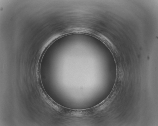 X0000085001182200703051213