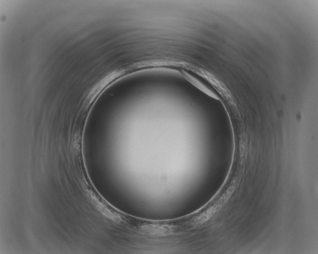 X0000085001185200703051213
