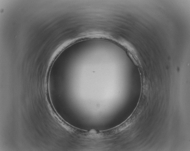 X0000085001191200703051213
