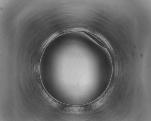 X0000085001193200703051213