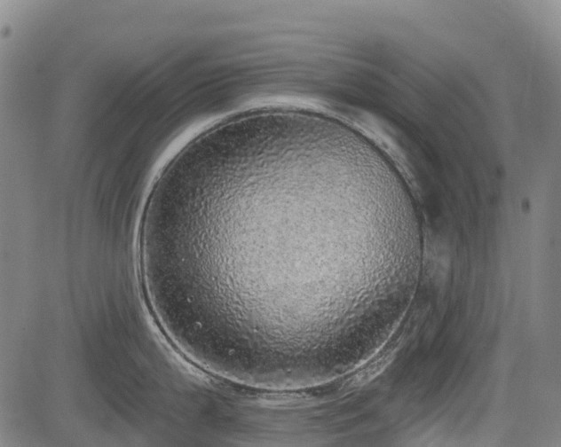 X0000085001199200703051213