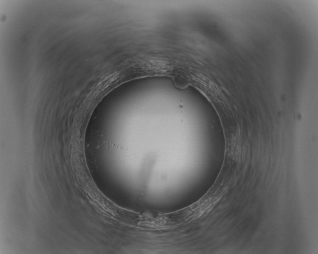 X0000085001201200703051212
