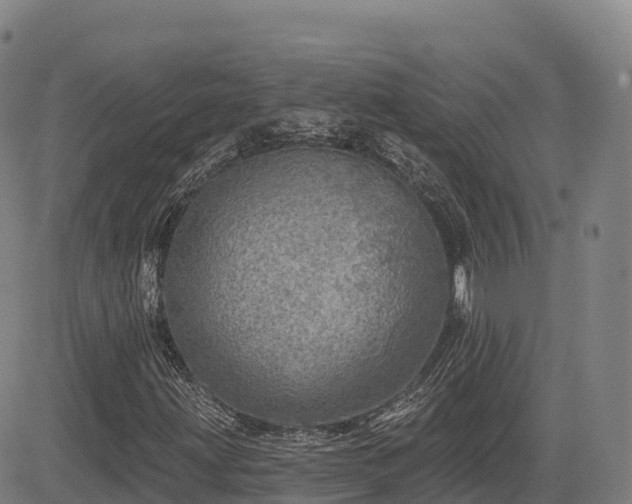 X0000085001203200703051212