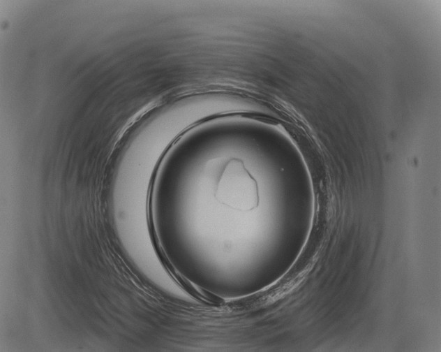 X0000085001210200703051212