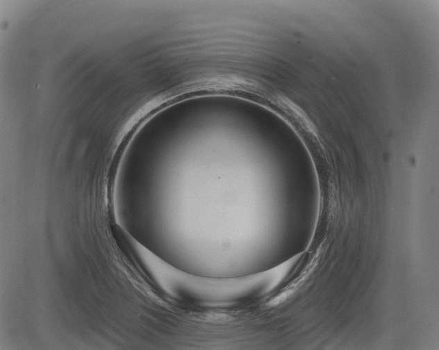X0000085001226200703051213