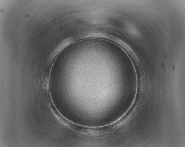 X0000085001241200703051213