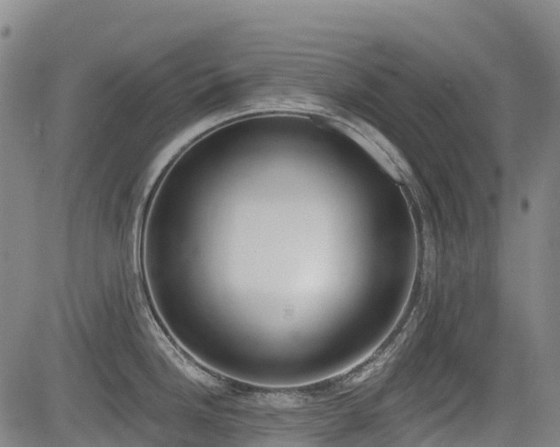 X0000085001246200703051213