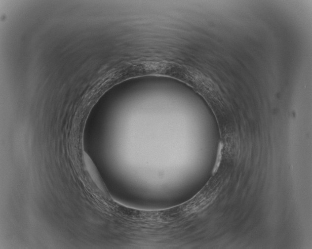 X0000085001249200703051212