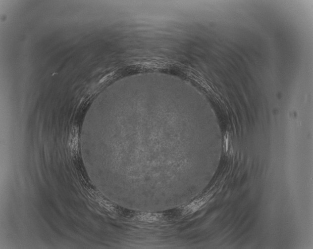 X0000085001251200703051212