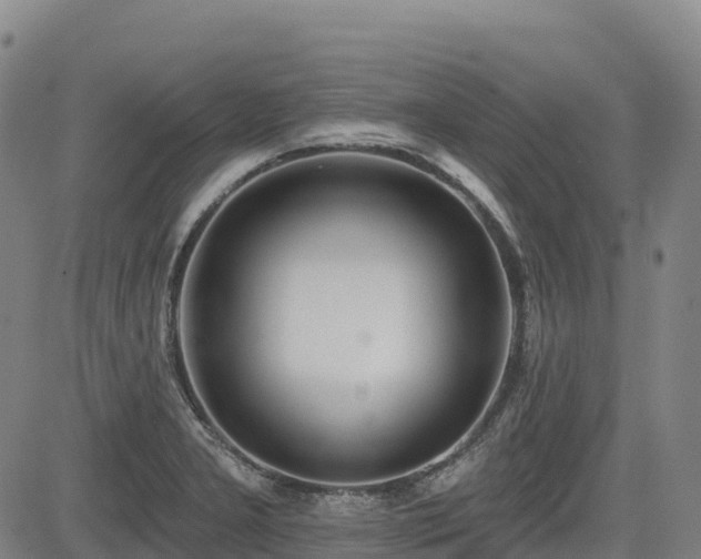 X0000085001277200703051212