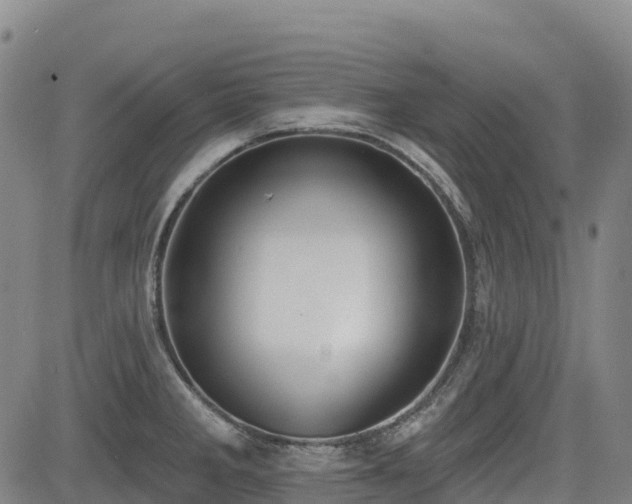 X0000085001285200703051212