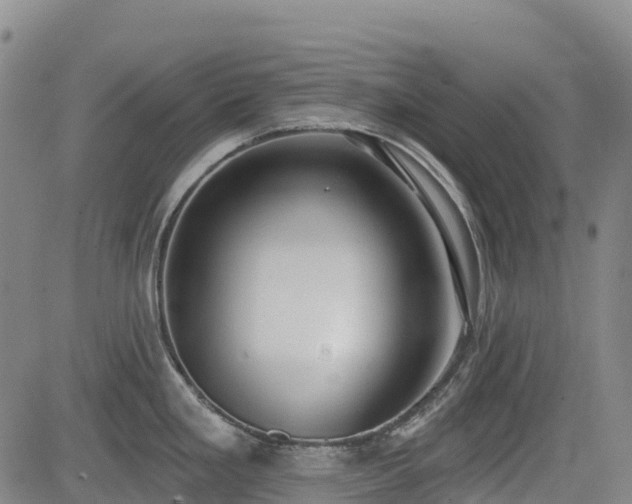 X0000085001293200703051211