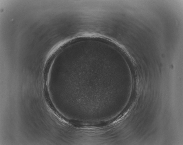 X0000085001319200703051211