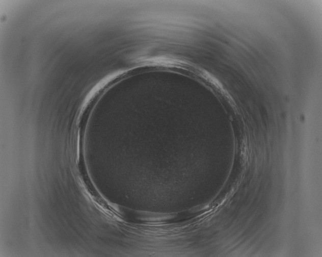 X0000085001323200703051211