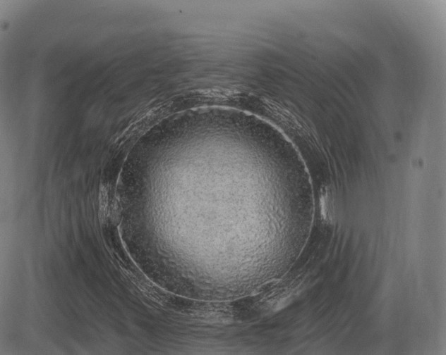 X0000085001347200703051210