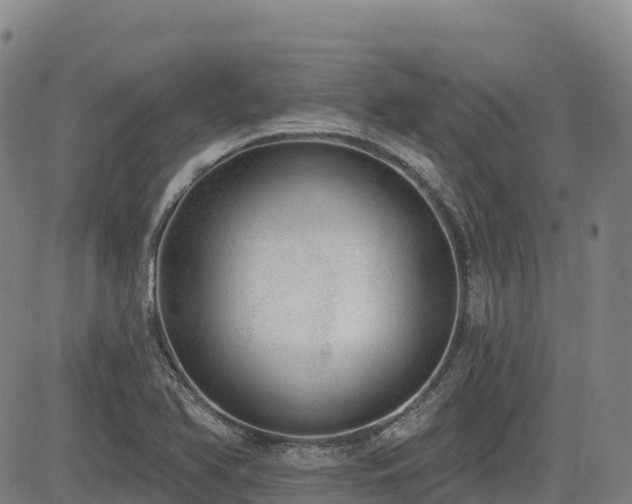X0000085001366200703051210