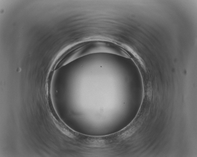 X0000085001372200703051210