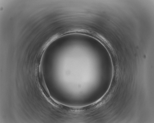 X0000085001377200703051210
