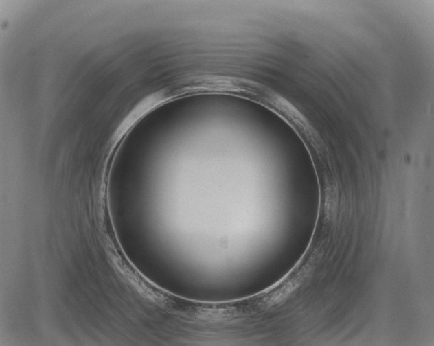 X0000085001378200703051210