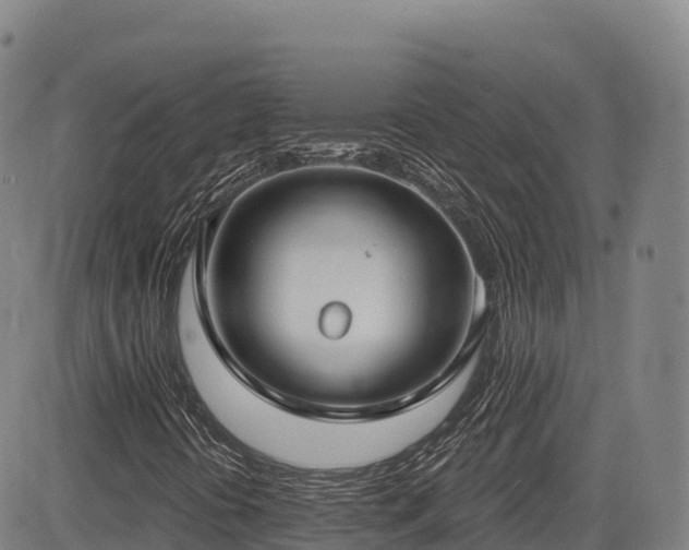 X0000085001394200703051209