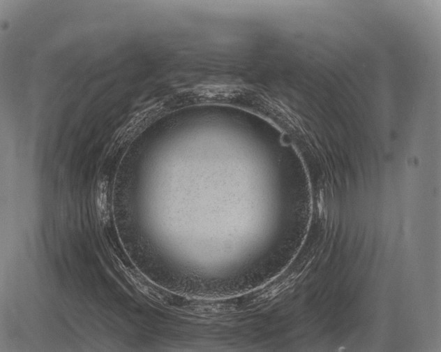 X0000085001396200703051209