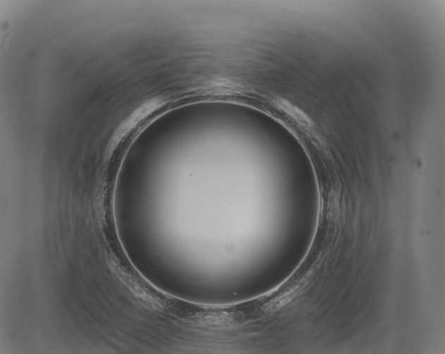 X0000085001410200703051209