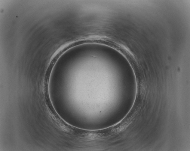 X0000085001412200703051209