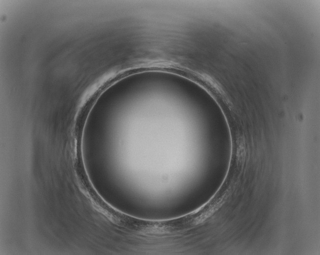 X0000085001414200703051209