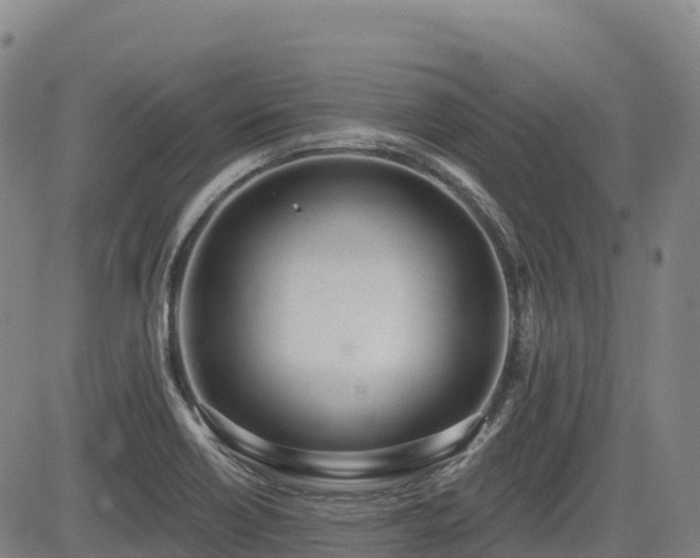 X0000085001418200703051209