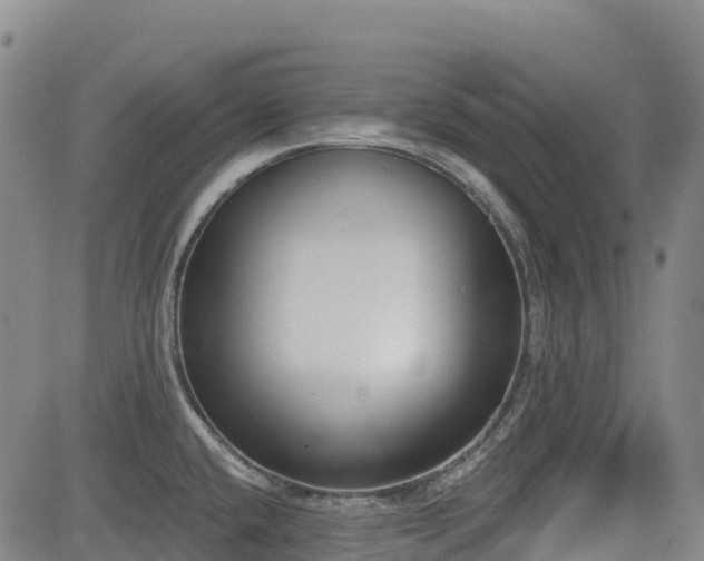 X0000085001432200703051210