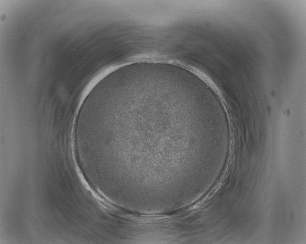 X0000085001440200703051210