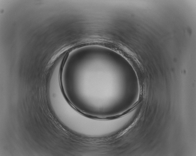 X0000085001453200703051209