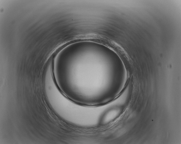 X0000085001457200703051209