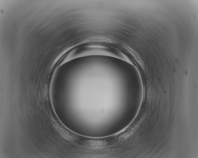 X0000085001465200703051209