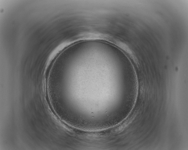 X0000085001472200703051208