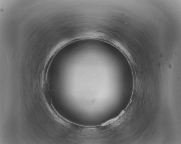 X0000085001477200703051208