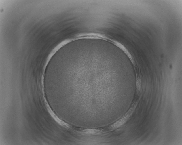 X0000085001482200703051208