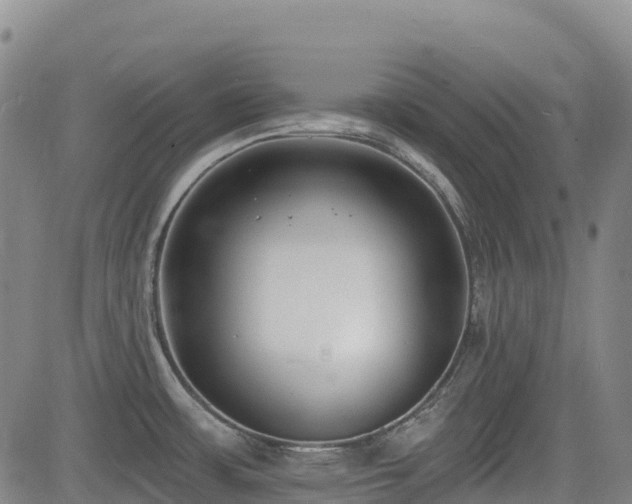 X0000085001483200703051208