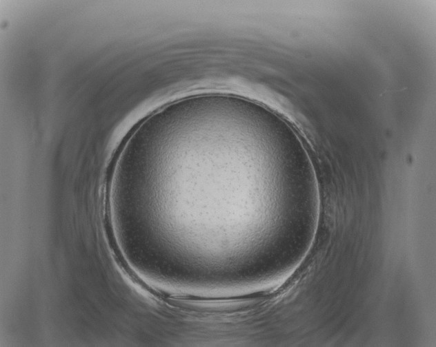 X0000085001519200703051208