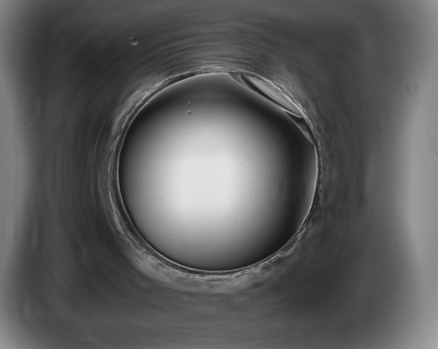 X0000085000001200703121510