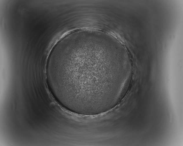 X0000085000002200703121510