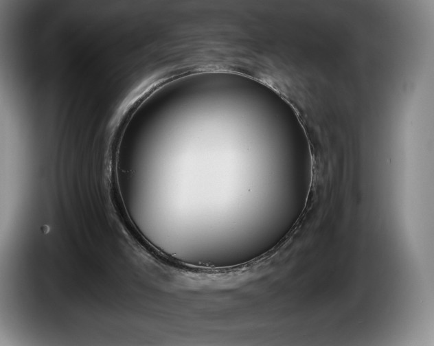 X0000085000005200703121510