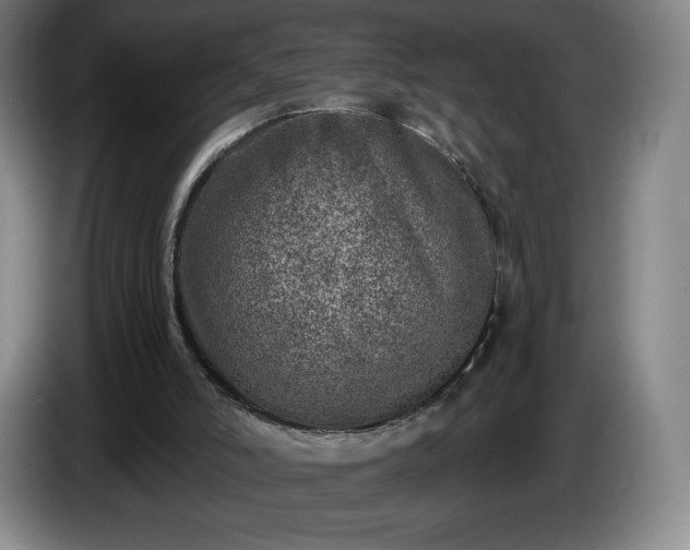 X0000085000006200703121510