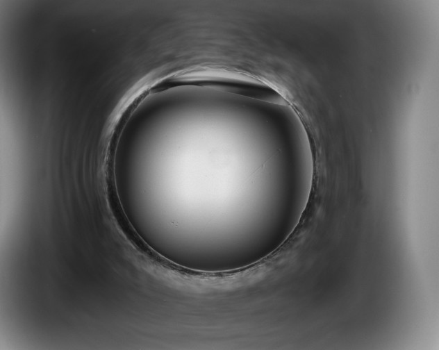 X0000085000007200703121510